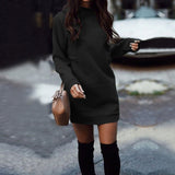 Casual Sweater Dress